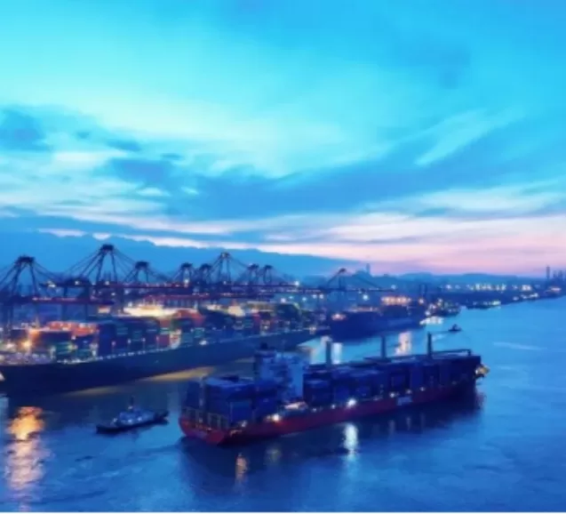 يساعد نظام الوزن الديناميكي من Weite شركة Xiamen Yuanhai Terminal على ترقية رافعة الجسر الخاصة بها إلى رافعة ذكية